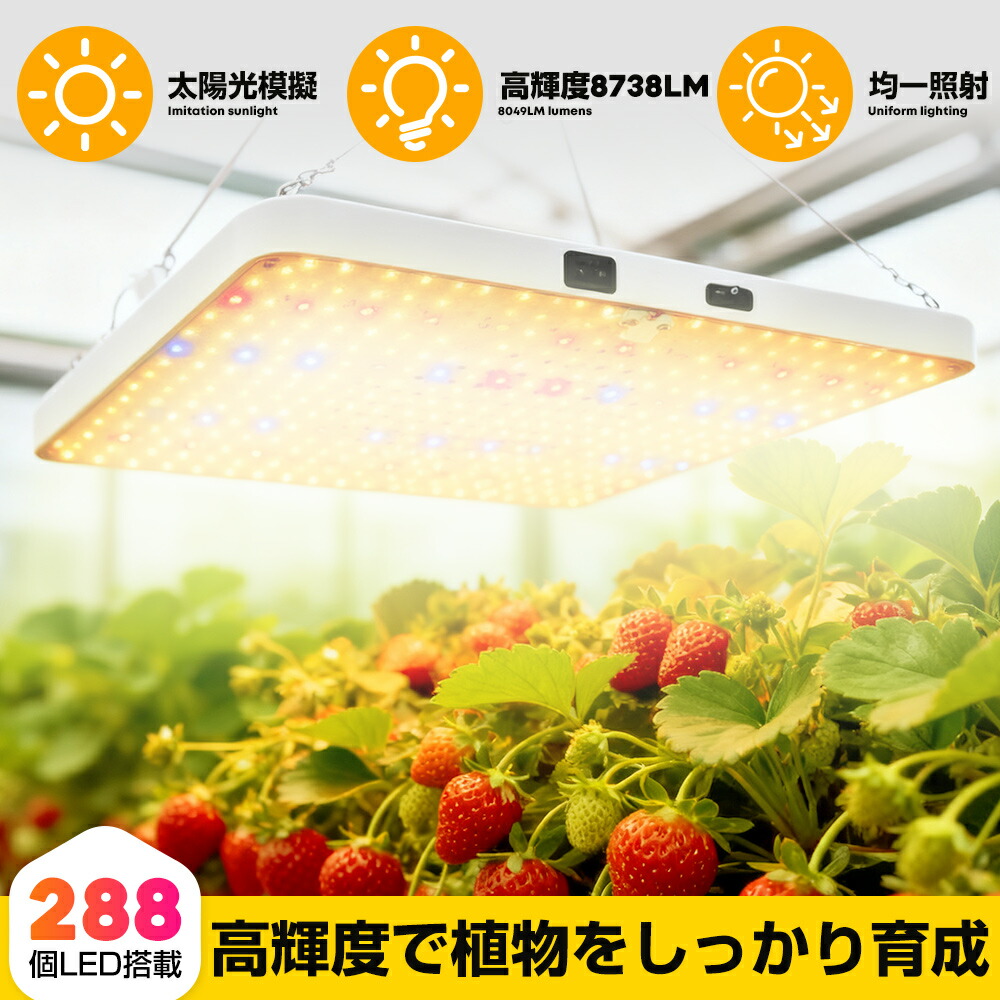 楽天市場】Niwuno（ニウノ）「2025年新型Updated」植物育成LEDライト