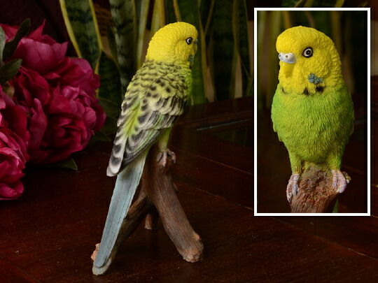 Parakeet Green かわいいセキセイインコの置物 イエローグリーン ナチュラルなかわいらしさ 鳥 トリ オブジェ アンティーク 雑貨 動物 アニマル リアル ナショナルジオグラフィック グリーン おもしろ雑貨 おしゃれ 本物そっくり イエロー Crunchusers Com