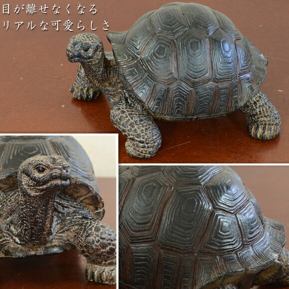 楽天市場 Tortoise リクガメ Small 自然の造形が美しい亀の置物 スタンドオブジェ かめ 亀 は虫類 爬虫類 おしゃれ リアル アニマル 動物 アンティーク風 アンティーク 雑貨 カメ ブラック リアル Decor Plus