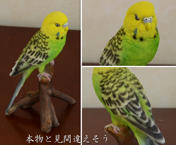 Parakeet Green かわいいセキセイインコの置物 イエローグリーン ナチュラルなかわいらしさ 鳥 トリ オブジェ アンティーク 雑貨 動物 アニマル リアル ナショナルジオグラフィック グリーン おもしろ雑貨 おしゃれ 本物そっくり イエロー Crunchusers Com