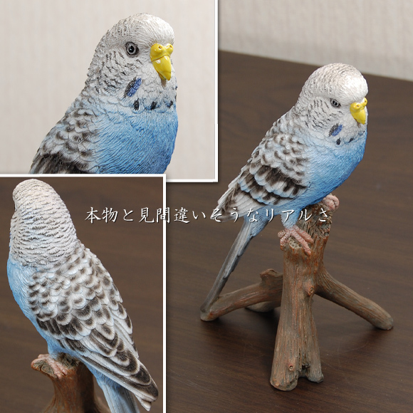 Parakeet Blue かわいいセキセイインコの置物 ブルー 本物のような色鮮やかな鳥の置物 鳥 トリ オブジェ アンティーク 雑貨 動物 アニマル リアル 北欧 テイスト グリーン おもしろ雑貨 おしゃれ 本物そっくり ホワイト Giosenglish Com