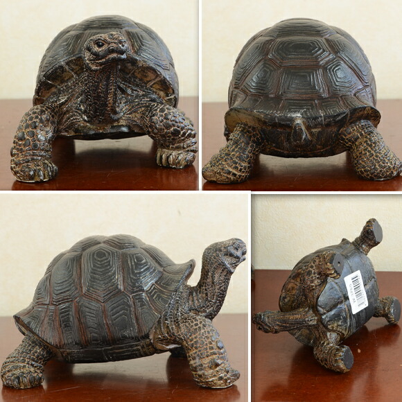 楽天市場 Tortoise リクガメ Small 自然の造形が美しい亀の置物 スタンドオブジェ かめ 亀 は虫類 爬虫類 おしゃれ リアル アニマル 動物 アンティーク風 アンティーク 雑貨 カメ ブラック リアル Decor Plus