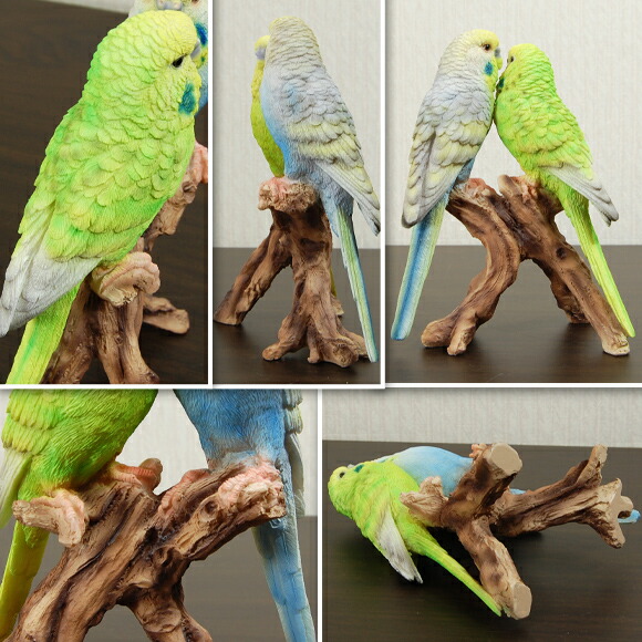 Pair Parakeets ペア パラキート 仲良しインコの置物 本物のような色鮮やかな鳥の置物 トリ オブジェ 飾り アンティーク 雑貨 アンティーク風 動物 アニマル リアル 北欧 ブルー グリーン ペアインコ おしゃれ Crunchusers Com