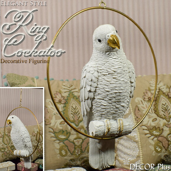 楽天市場】Sun Parakeet メキシコインコ 自然の造形が美しい鳥の