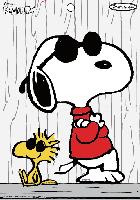 楽天市場 送料無料 スヌーピー ジョークール Joe Cool ピーナッツ Peanuts Snoopy 貼って剥がせる ぷっくり立体 ナンバープレート ウォールステッカー Pvc 壁紙 W385 H170 D5mm Pwd16 Decoste