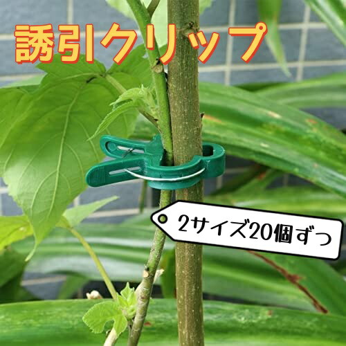 誘引クリップ 茎に優しい Ｒ型（サイズ：20㎜）1箱/2,000個入 楽天市場】40本入 誘引クリップ 園芸クリップガーデニング 誘引
