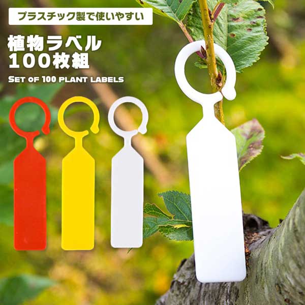 楽天市場】【植物の名前や日付を記録】園芸ラベル 100枚セット 吊り