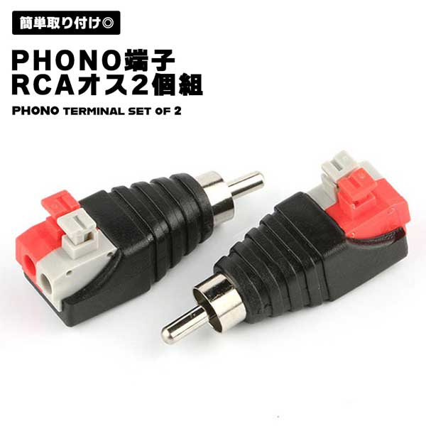 2qs-ph-rca-o-2p_1.jpg