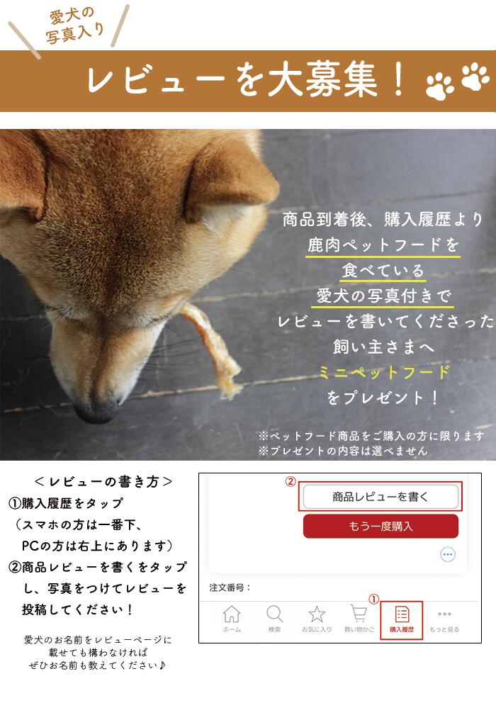 驚きの安さ 雲仙牧場鹿 大型犬用 鹿白角 お徳用 ４本入 大きめサイズ 鹿角 鹿の角 大型犬 国産 無添加 無着色 おやつ ペットフード ドックフード カルシウム アレルギー ガム 歯 骨 ストレス 人気 鹿 角 徳用 牧場 おもちゃ 歯磨き デンタルケア Whitesforracialequity Org