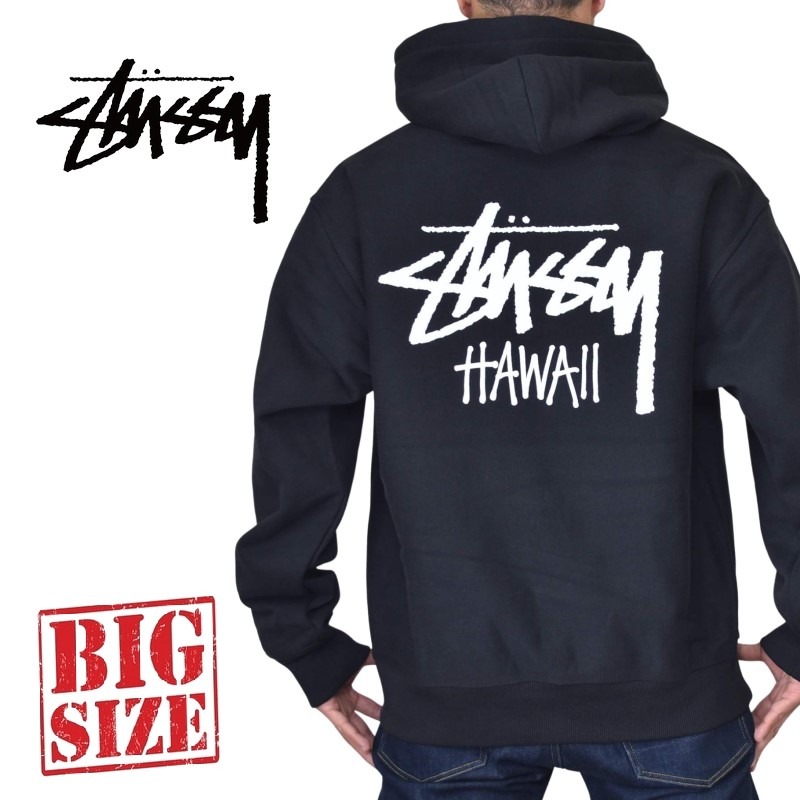 新品未使用★ステューシーSTUSSY メンズパーカートレーナー★Lサイズ STUSSY（ステューシー） パーカー プルオーバー メンズ Stussy 80
