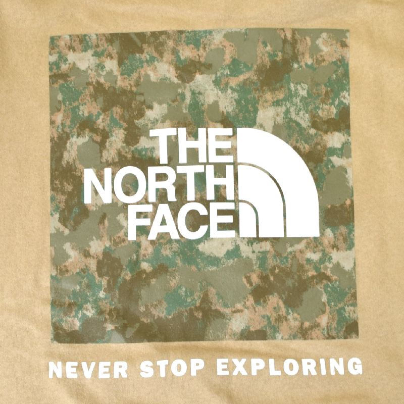 ノースフェイス THE NORTH PRINTED パーカー ボックスバックプリント HOODIE XXL USAモデル ブラック XXXL  大きいサイズ メンズ NSE 裏起毛 プルオーバー フーディー 黒 XL グレー BOX スウェット FACE あす楽 トップス 