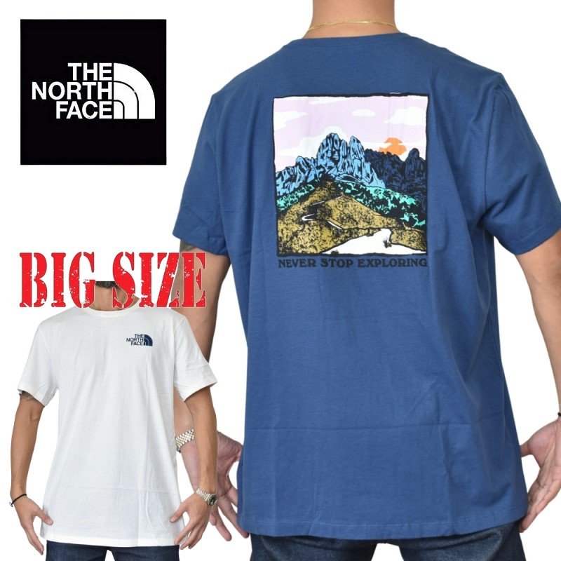 tnf-052-d.jpg