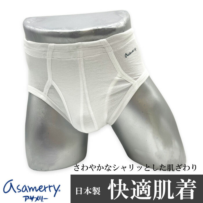 アサメリーブリーフ2枚　絹100%L 3枚 合計5枚セット アサメリーブリーフ2枚 絹100%L 3枚 合計5枚セット アサメリー