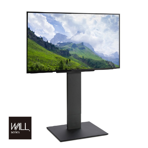 ナカムラ ~80V型相応う WALL TV照明ランプ V5 御機嫌手合い EQUALS・WALLつづき物 繻子黒いこと WLTVK6119 (納期引き合い1-2週) ※送りとどけるのみ