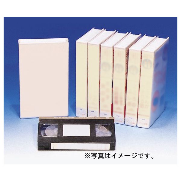 たんけん！からだの中はどうなっているのかな？