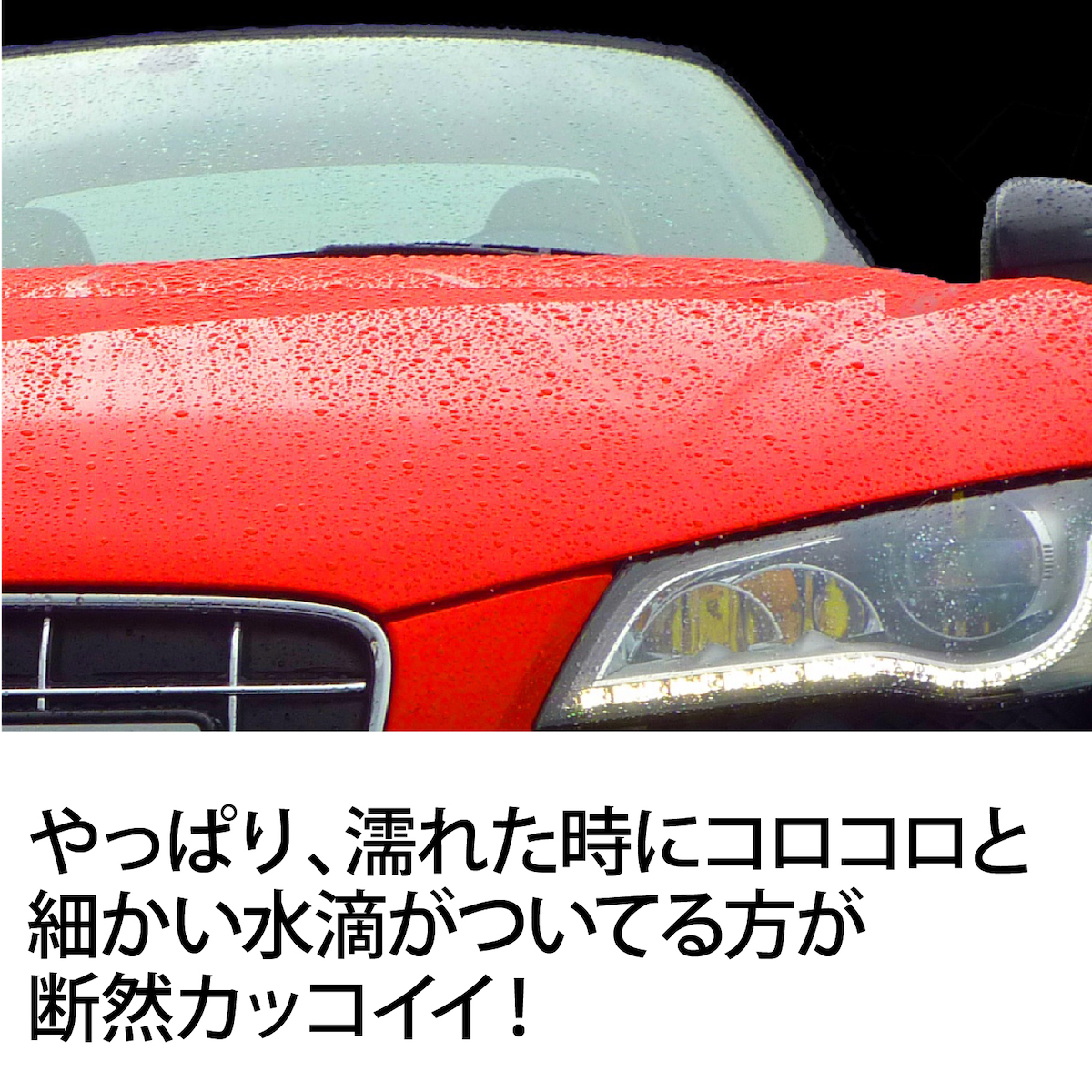 楽天市場 カーコーティング剤 350ml ガラスコーティング フレイムドラケン ガラスコーティング剤 業務用 撥水 洗車 簡単コーティング プロ仕様 売れてる おすすめ 人気 ぴかぴか ワックス ボディー保護 磨研 Maken まけん マケン 喜多方 できる男の道具箱