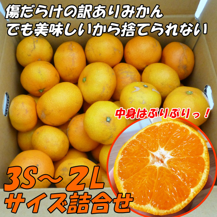 楽天市場 送料無料 減農薬 訳あり 温州みかん 15kg 規格外 みかん 激安 でこぼこ倶楽部