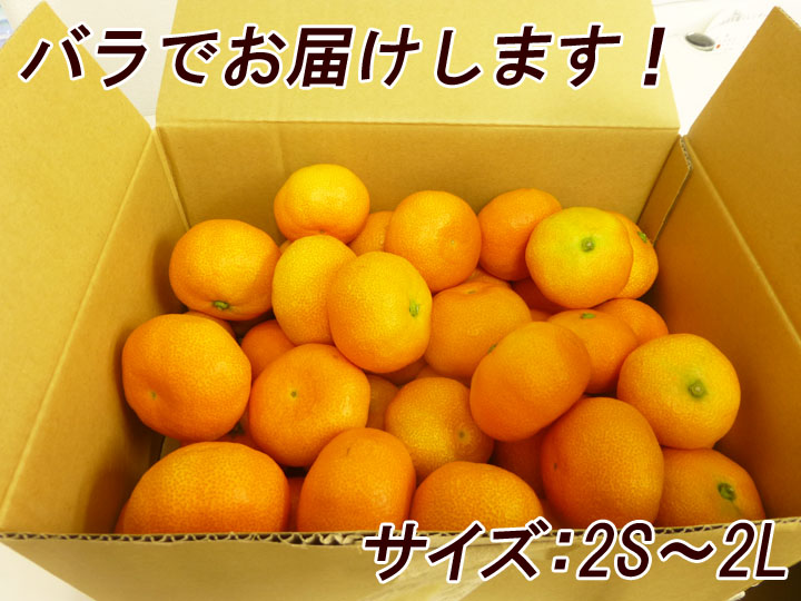 楽天市場 送料無料 ハウスみかん 5kg 高糖度の夏ミカン 神奈川産 でこぼこ倶楽部