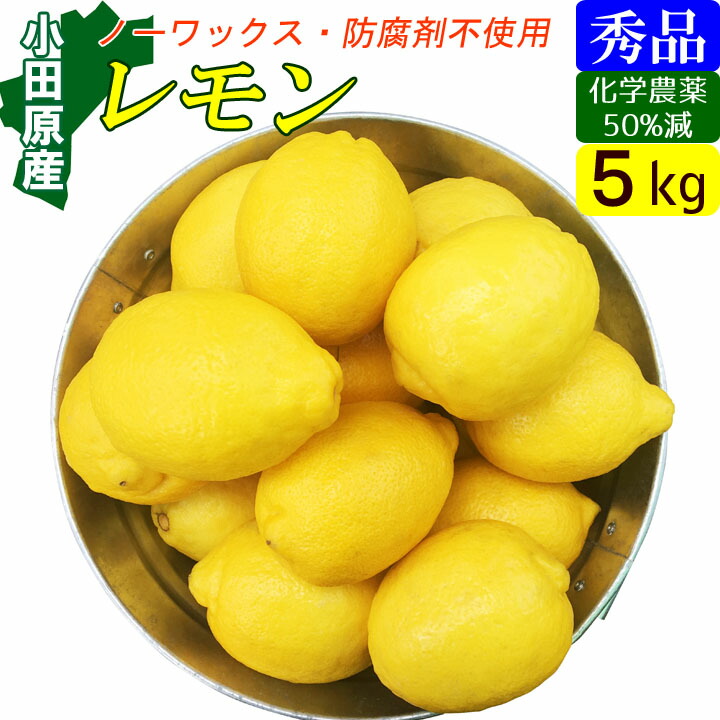 国産 レモン 正品 5kg 産地直送 お取り寄せ ギフト 秀品 ノーワックス
