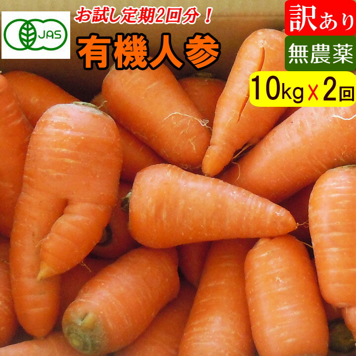 【お試し2回分定期】 送料無料 訳あり 有機人参 10kg×2回分 オーガニック 無農薬にんじん ジュース用