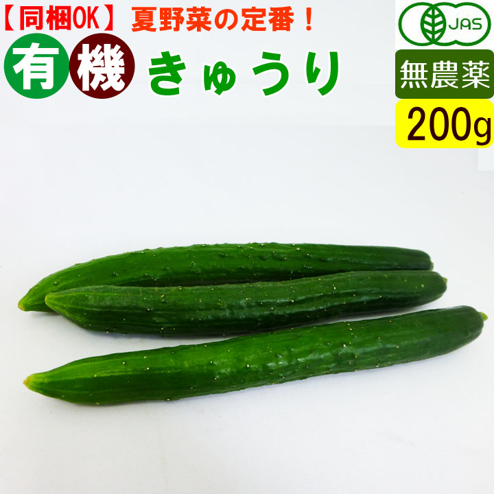 楽天市場 オーガニック 有機胡瓜 きゅうり 0g 無農薬 キュウリ 約2本 有機野菜 でこぼこ倶楽部