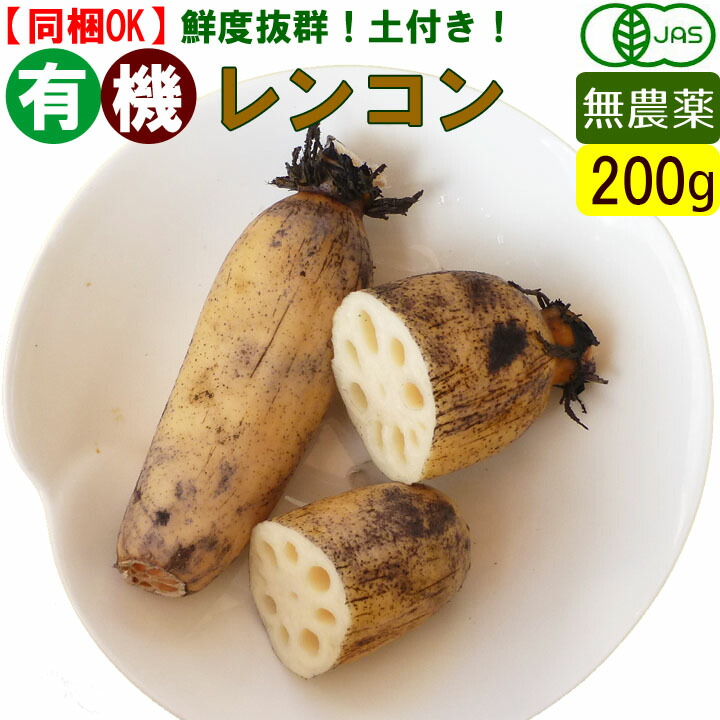 楽天市場】愛知産 有機レンコン 5kg（L,2Lサイズ）土付き 一箱まとめ買い 無農薬 オーガニック 泥付きレンコン : でこぼこ倶楽部