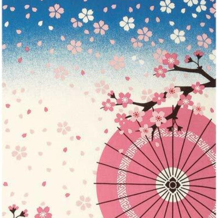 現金特価 濱文様 絵手ぬぐい 新作 和傘に舞桜 春 桜 手拭い クリックポスト対応 手拭き ギフト プレゼント なっせん はまもんよう qdtek.vn