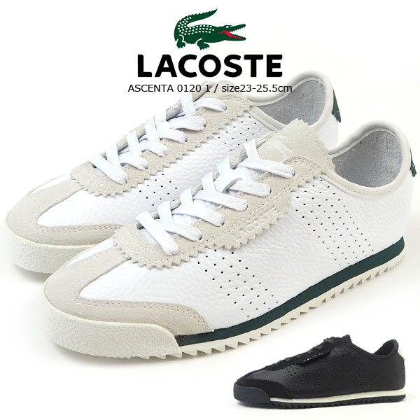 楽天市場 ラコステ Lacoste スニーカー Ascenta 01 1 Cf レディース レザースニーカー ローカット 本革 シューズベース