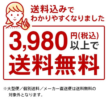 防犯関連グッズ WJ-GXE500 パナソニック(Panasonic) ネットワーク