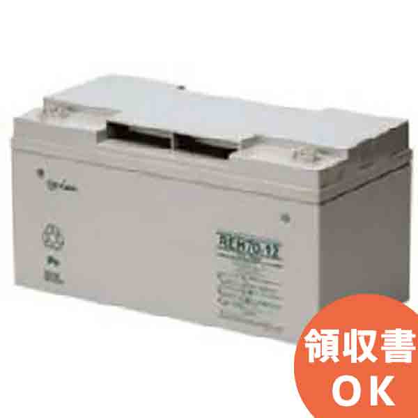 REH24-12 【受注品】 GSユアサ製 制御弁式鉛蓄電池 REHシリーズ │ GSユアサ ユアサ ＜メーカー直送品＞【代引不可】【キャンセル返品不可】【時間指定不可】【納期:約2.5か月】｜商材館 店
