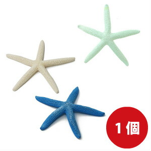 【専用】小さなヒトデ 様 楽天市場】小さなヒトデのオブジェ 2色展開 オブジェ