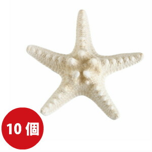 貨物輸送無料 マリン コブヒトデ 10個ひとそろい スターフィッシュ ヒトデ 発揮 家什 雑貨 夏時 マリン 立場 Tc アジアン雑貨 買い値贔負不可 Nobhillmusic Com 貨物輸送無料 マリン コブヒトデ 10個ひとそろい スターフィッシュ ヒトデ 発揮 家什 雑貨 夏時 マリン 立場 Tc アジアン雑貨 買い値贔負不可 Nobhillmusic Com