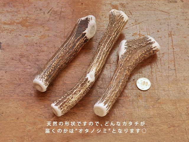 楽天市場 エゾシカの角 無添加 おやつ ｌサイズ Deerdear Dog Gum 鹿の角ガム 鹿の角おやつ 天然素材 鹿の角犬 Denis Store