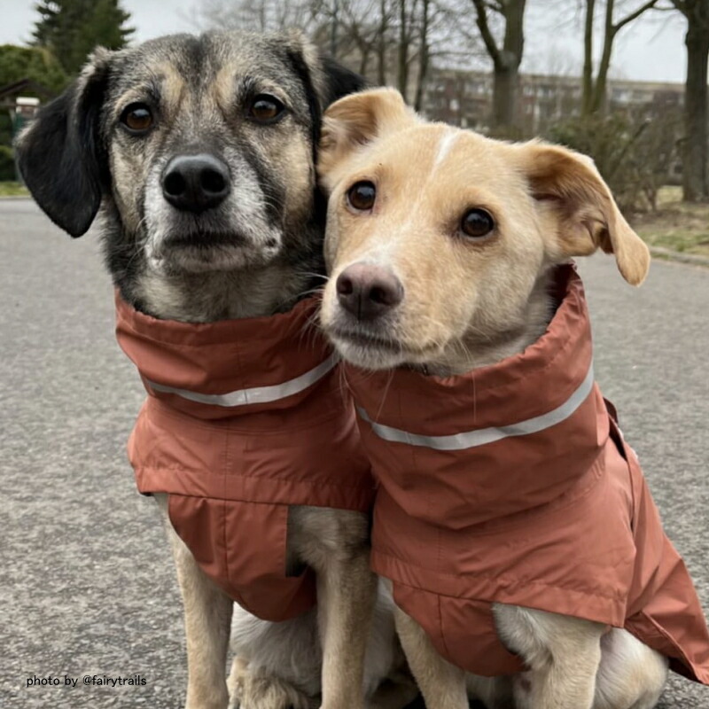 DogCoatAlaskaMidnightSize4アラスカドッグコートミッドナイトブルー犬用コートCloud7クラウド7【数量限定!送料無料】