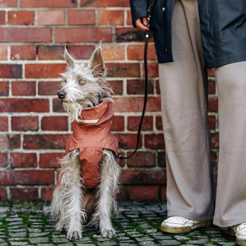 DogCoatAlaskaMidnightSize4アラスカドッグコートミッドナイトブルー犬用コートCloud7クラウド7【数量限定!送料無料】