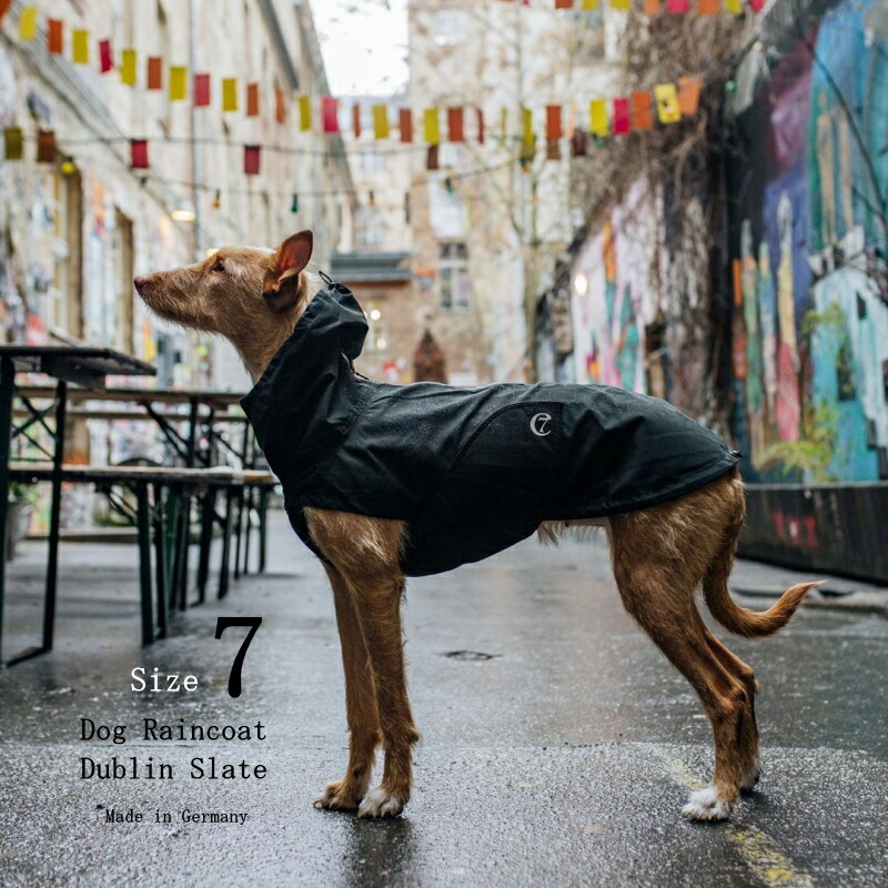 楽天市場】Dog Raincoat Dublin 犬用レインコート ダブリン Size 6 