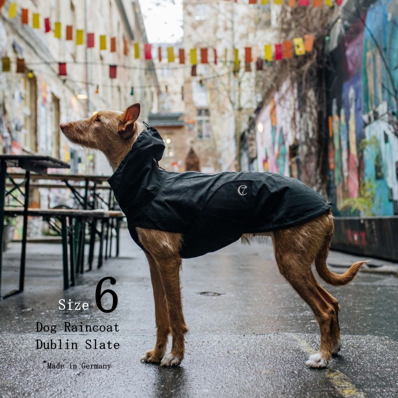 【楽天市場】Dog Raincoat Dublin 犬用レインコート ダブリン Size