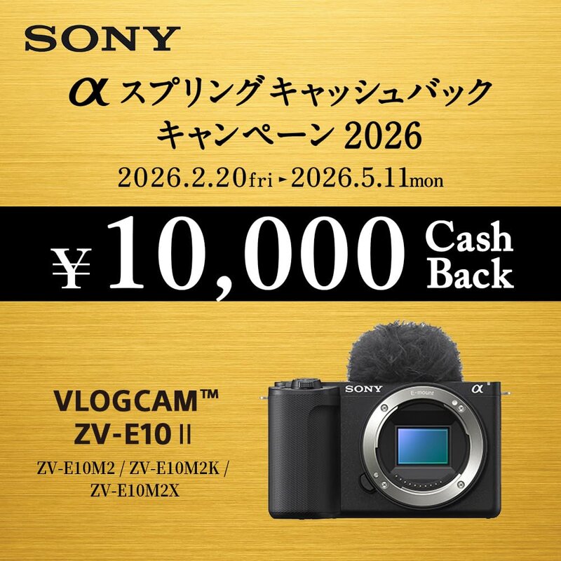 SONY(ソニー) Vlog用写真機 水晶体取り替えっこ式VLOGCAM APS-C 銀鏡受け答え一眼写真機 ZV-E10M2 パワーズームレンズキット(同梱水晶体:SELP16502) 気流映写幕属する 黒いこと ZV-E10M2K BQ