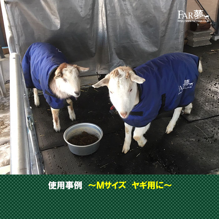 首まで温かい!子牛の防寒対策に!サーモー(保温カーフジャケット)