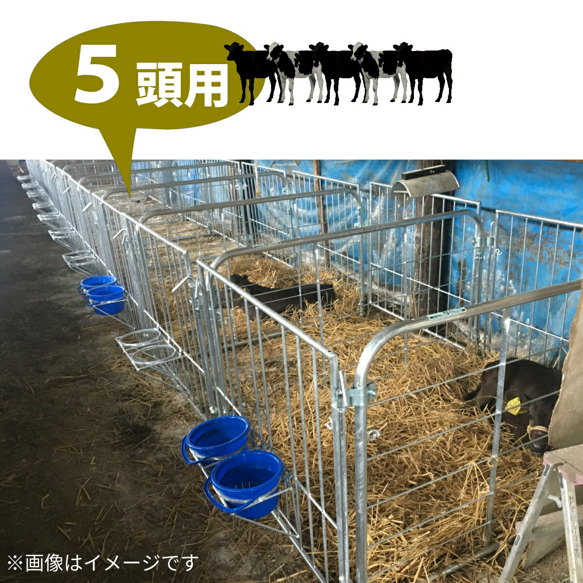 圧倒的人気 本日発送 MPQ54JO24RG [MPQ54JO24RG]