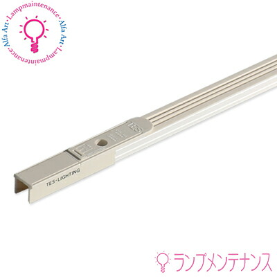 テスライティング RC-1000W  ラインコンセント 全長：1000mm / アイボリー レールコンセント RCシリーズ ［RC1000W］ 【2026-01】