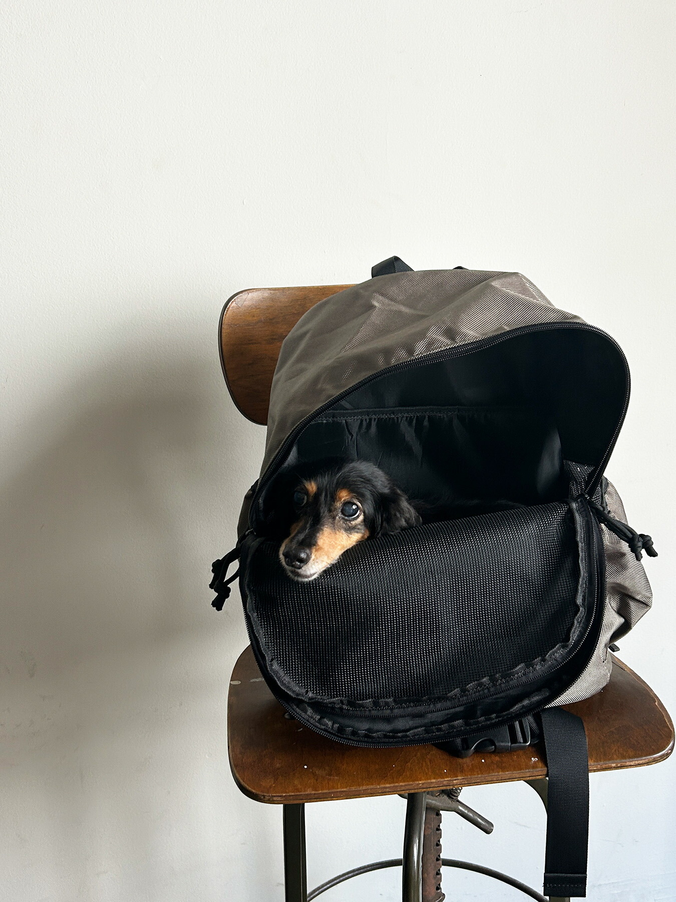 PUFF PET CARRY BACKPACK 【ペット用 キャリーバッグ バックパック 軽量 おしゃれ 人気 多機能 リュックサック】｜オルゴ オフィシャル ショップ