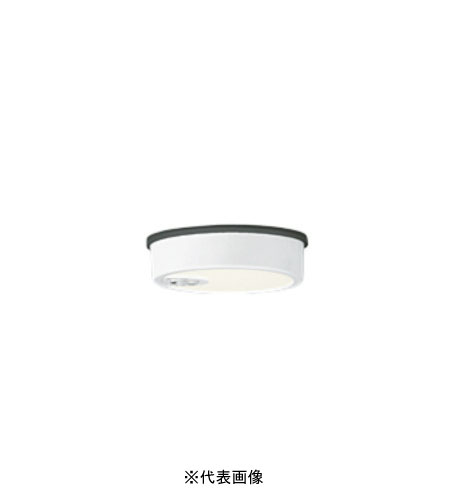オーデリック OG254534R 軒下用最高限度点火装置 防雨型人感検知器ＯＮ-ＯＦＦ型 高温発光灯60W好いかげんに 白熱電球色 象牙色 勘定書き相応う・受け入れ書ふり出し可