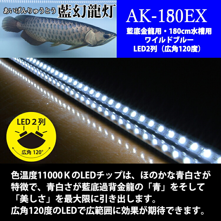 アロワナ ライト 金龍 長い 熱帯魚 180cm水槽用 水中蛍光灯 Led 省スペース 白色 照明 でんらい 1100k 過背金 ディスカス 昼白色 細い 明るい 綺麗に見える 藍幻龍灯 ワイルドブルー 大きい 水中 アクアリウム 大型 アジアアロワナ 晴天 2列 青色 昼光色