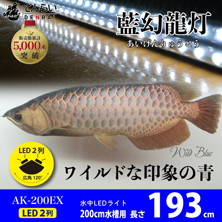 ライト 過背金 おしゃれ キャンペーン価格 アロワナ 水中照明 金龍 Led シャンデリア 藍幻龍灯 2列 ワイルドブルー Ex 0cm水槽用 水中 照明 水中蛍光灯 アクアリウム 熱帯魚 アジアアロワナ ディスカス でんらい Ak0 Ex でんらい業界トップクラス 引き出せ 眠る