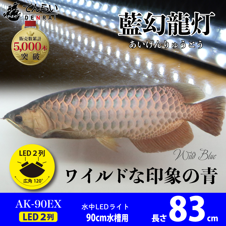 アロワナ ライト 金龍 過背金 90cm水槽用 藍幻龍灯 ワイルドブルー Ex Led 2列 水中 照明器具 水中蛍光灯 アクアリウム 熱帯魚 アジアアロワナ ディスカス でんらい Ak90 Ex 送料無料 Ak Ex Purplehouse Co Uk