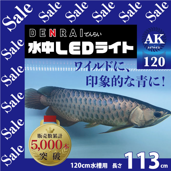 降車口 アロワナ ライトフィールド Led 1横列類型 藍下様不成功後面阿堵物 金龍 1cm甕趣意 光源機器 Led 水中 水中蛍光ランプ 水族館 熱帯魚 アジアアロワナ ワイルド青碧 でんらい Ak1 貨物輸送無料 Cannes Encheres Com 降車口 アロワナ ライトフィールド Led 1横列類型 藍下様不成功後面阿堵物 金龍 1cm甕趣意 光源機器 Led 水中 水中蛍光ランプ 水族館 熱帯魚 アジアアロワナ ワイルド青碧 でんらい Ak1 貨物輸送無料 Cannes Encheres Com