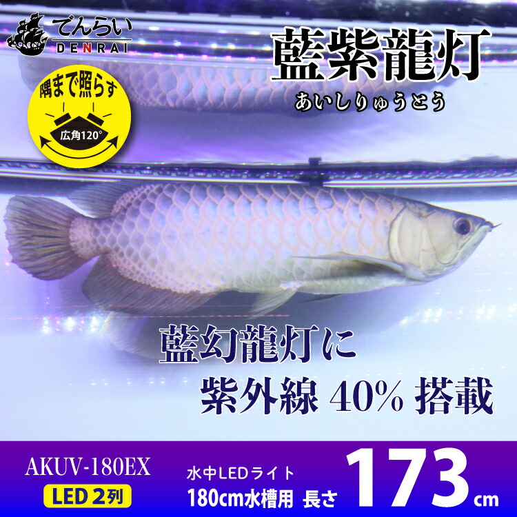 円 限 定 販 売 アロワナ ライト 金龍 過背金 180cm水槽用 藍紫龍灯 ワイルドブルー Uv 40 Ex Led 2列 紫外線 A波 日焼け 効果 色揚げ 水中 照明 水中蛍光灯 アクアリウム 熱帯魚 アジアアロワナ でんらい Ak 180uv Ex
