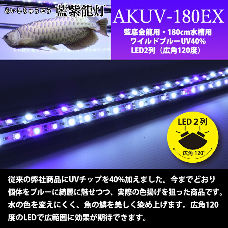 円 限 定 販 売 アロワナ ライト 金龍 過背金 180cm水槽用 藍紫龍灯 ワイルドブルー Uv 40 Ex Led 2列 紫外線 A波 日焼け 効果 色揚げ 水中 照明 水中蛍光灯 アクアリウム 熱帯魚 アジアアロワナ でんらい Ak 180uv Ex