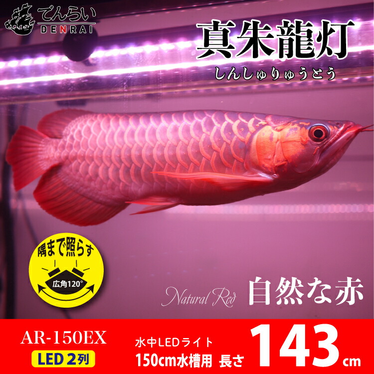 Asyou ブルースネークプリントのasyouスクエアネッククロップトップコーディネイト トップス レディース 女性 インポートブランド 小さいサイズから大きいサイズまで